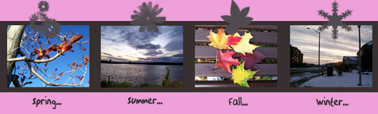 four-seasons.jpg