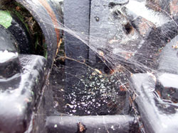 Spider Web On The Locks Spider Web On The Locks