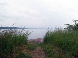 The Shores The Shores