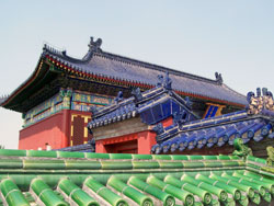 Roofs Roofs