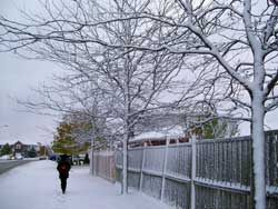 Going To Work