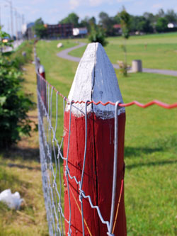 Red Post