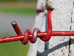 Red Fence