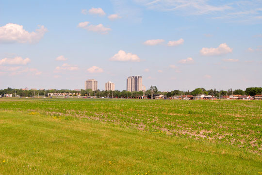 Green Fields