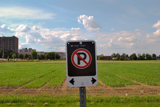 No Parking!
