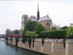 Notre Dame (View From The Seine)