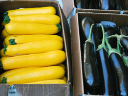 Zucchine and Eggplants