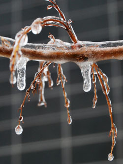 Frozen Drops Of Water