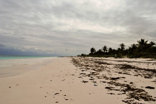 Tulum Playa