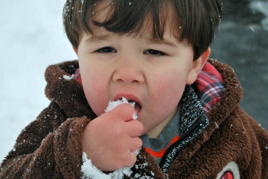 And Yes, Eating Snow
