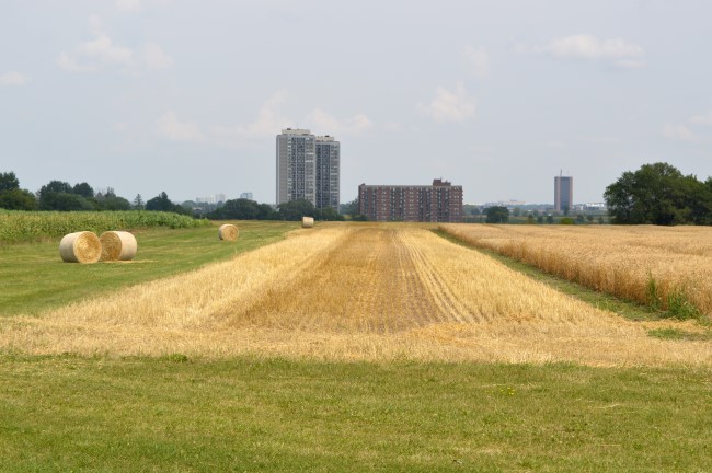 The Experimental Farm in Ottawa