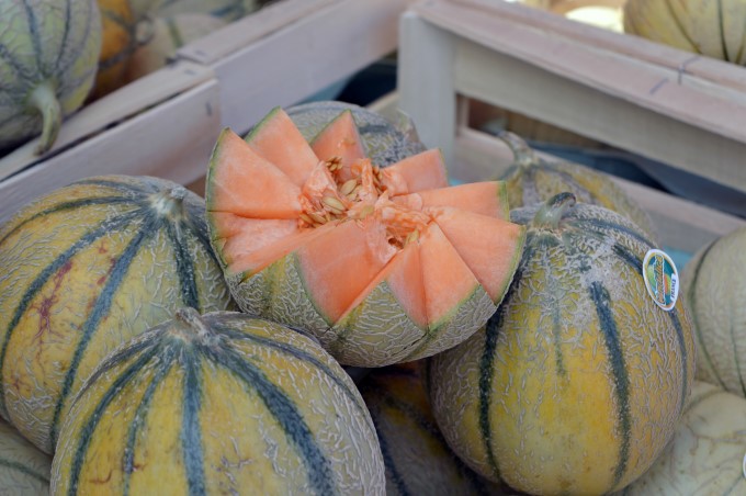 Cantaloupe at Tharon's market