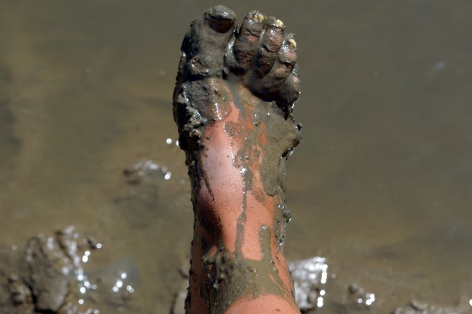 Muddy foot