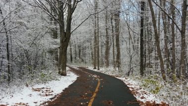 Right after the first snow on November 7, Experimental Farm Pathway, Ottawa