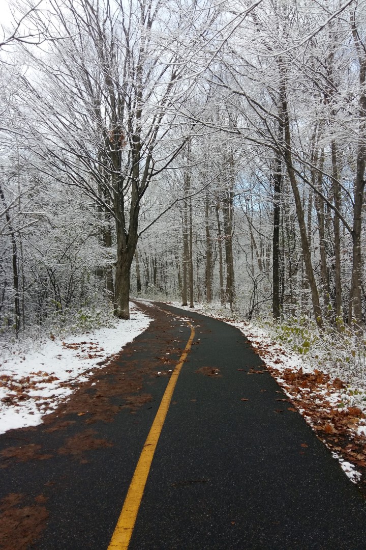 Right after the first snow on November 7, Experimental Farm Pathway, Ottawa