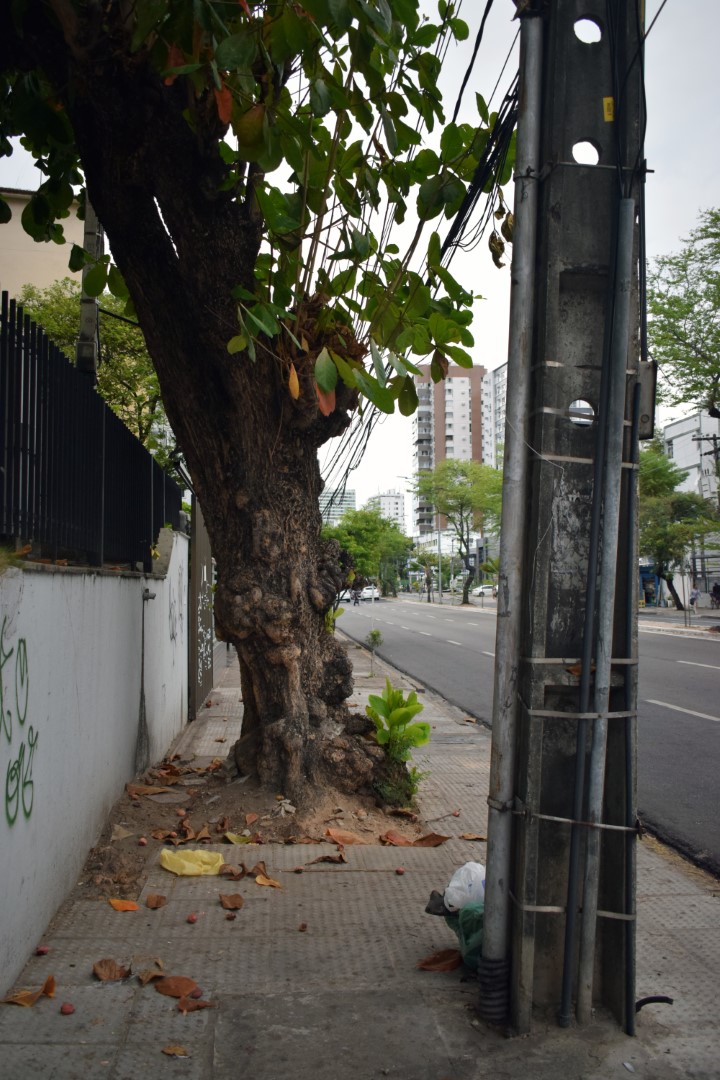 Boa Viagem, typical "sidewalk issue"