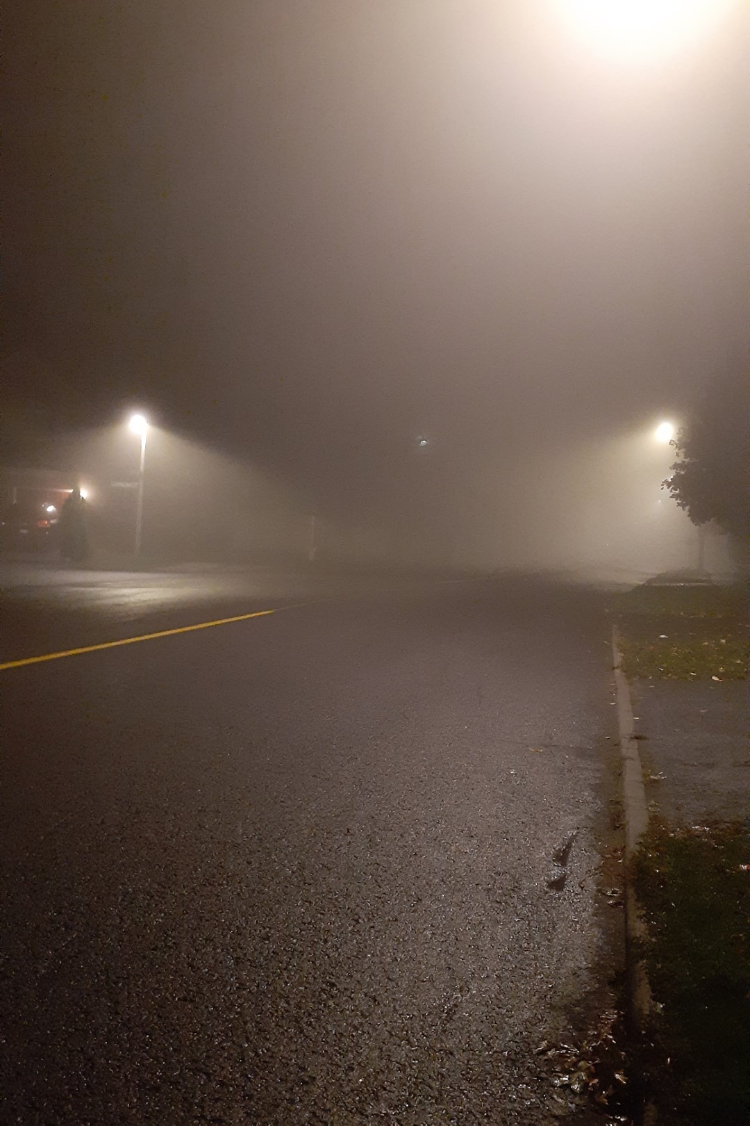 Foggy night, Ottawa, October 2020