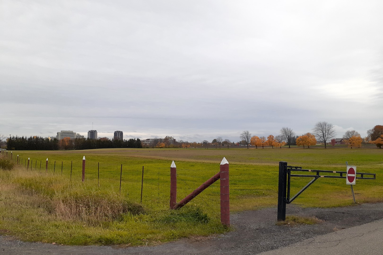 Experimental Farm, Ottawa, October 2020