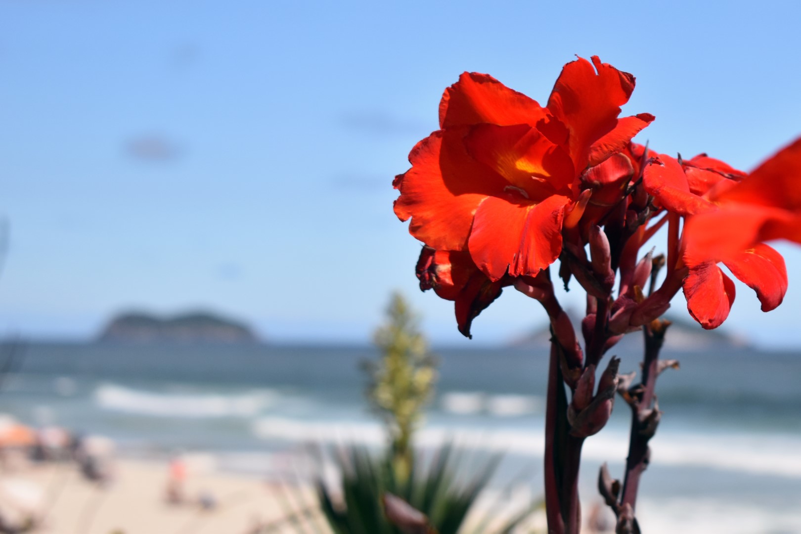 Praia Barra da Tijuca, Rio de Janeiro