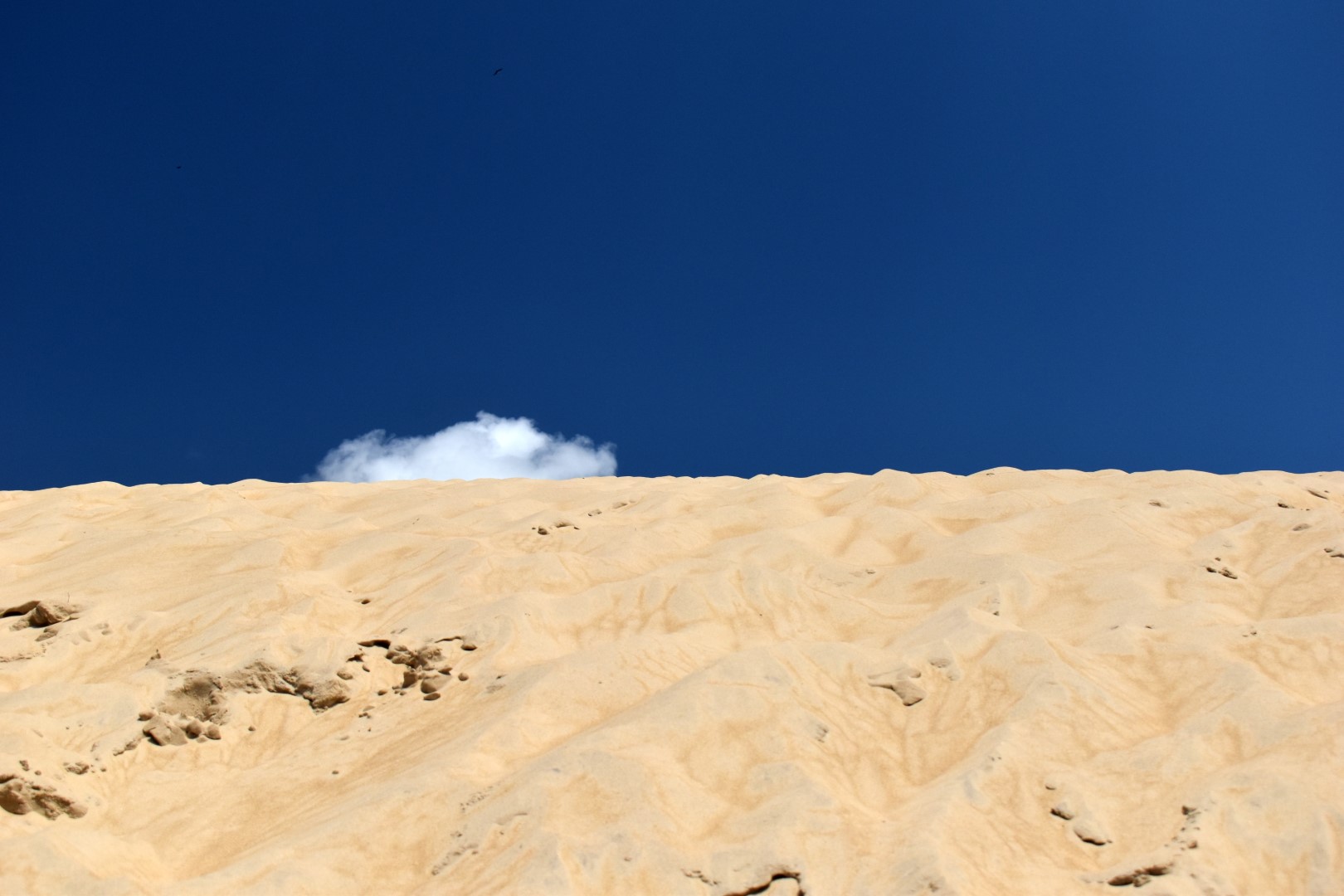 Dunas Do Santinho, Ingleses Sul, Florianópolis