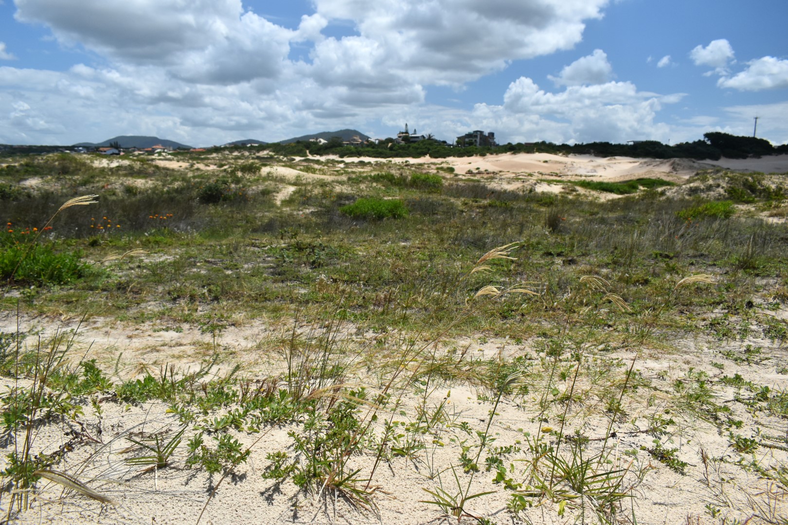 Crossing the Dunas Do Santinho, Ingleses Sul, Florianópolis