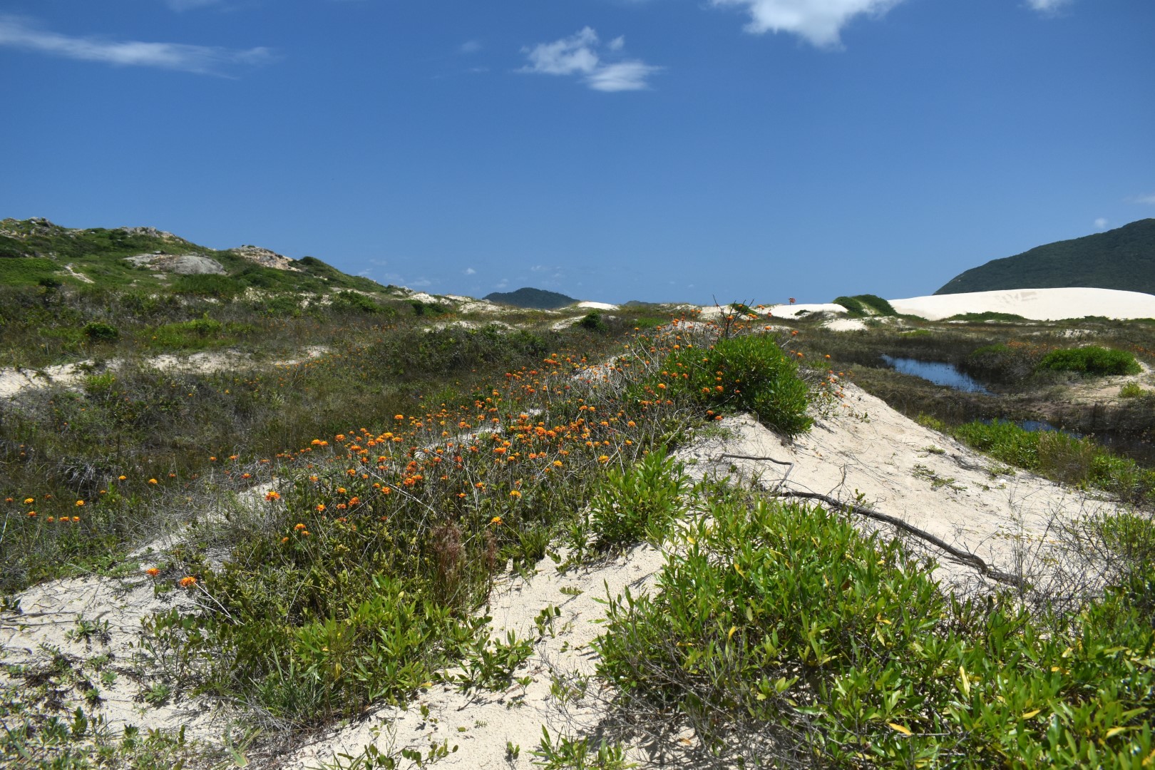 Crossing the Dunas Do Santinho, Ingleses Sul, Florianópolis