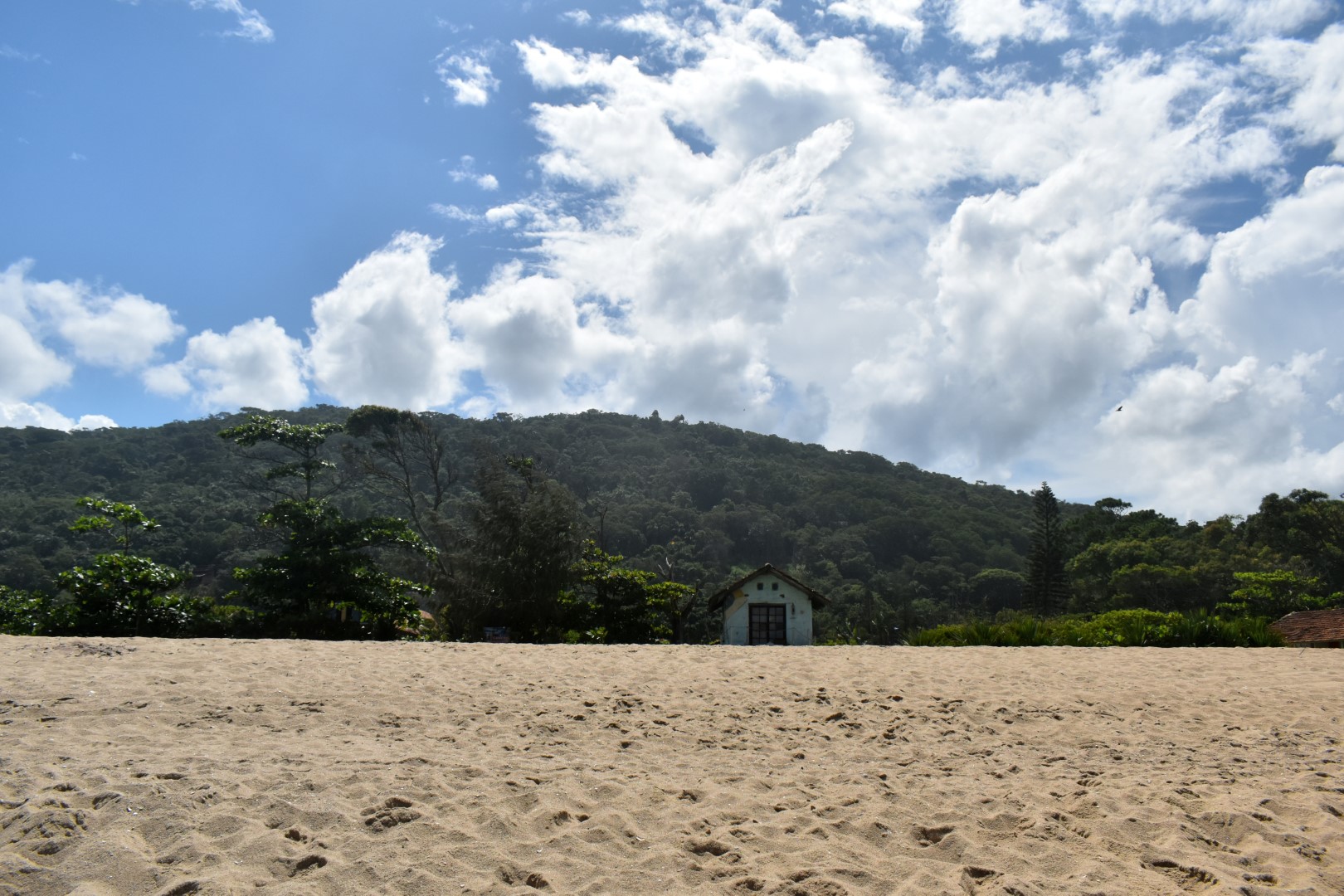 Praia da Armação, Florianópolis, Ilha de Santa Catarina