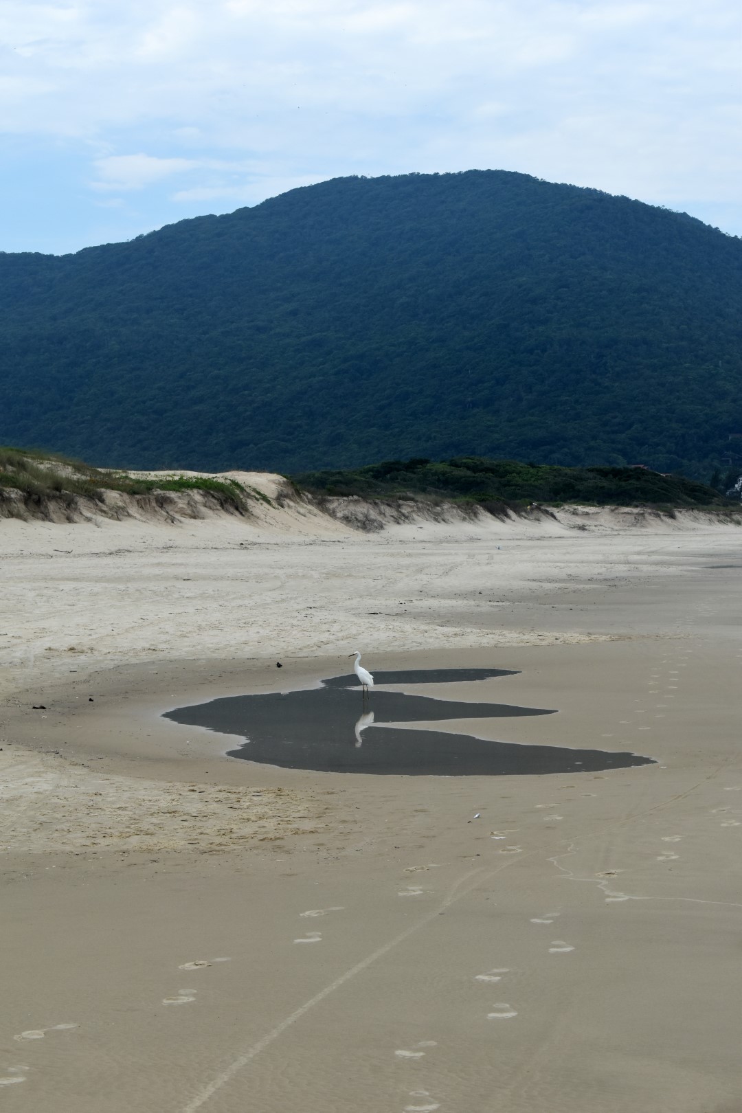 Praia do Pântano do Sul, Ilha de Santa Catarina