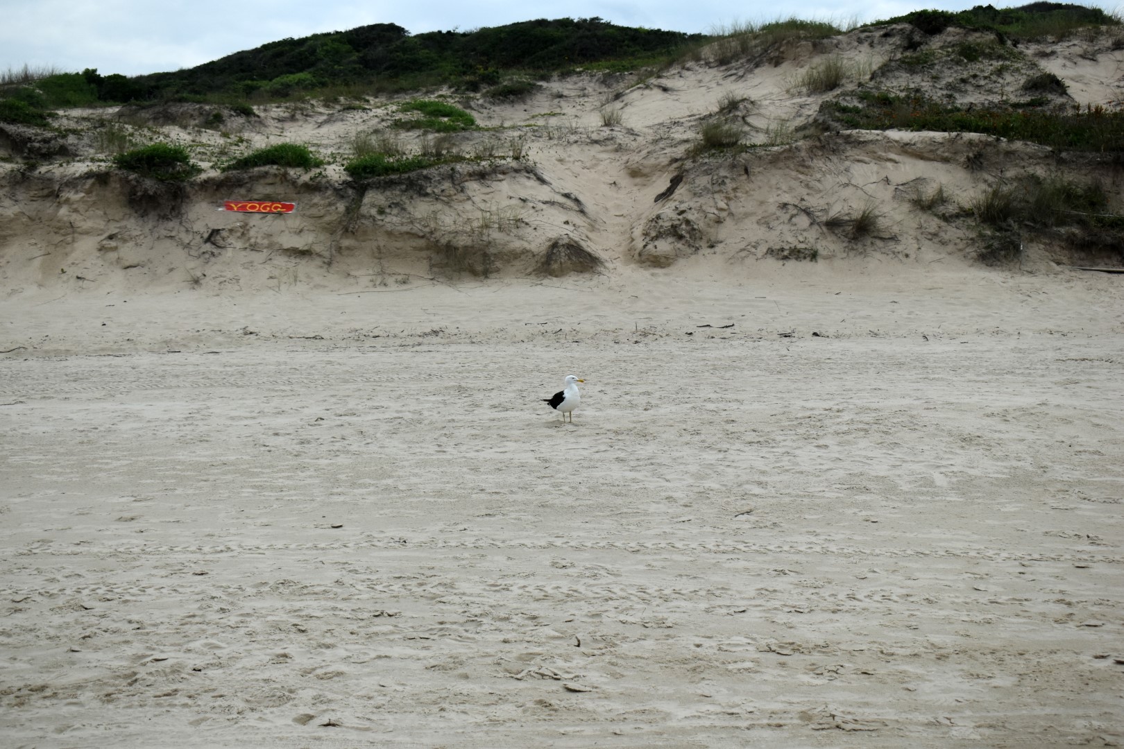 Praia do Pântano do Sul, Ilha de Santa Catarina