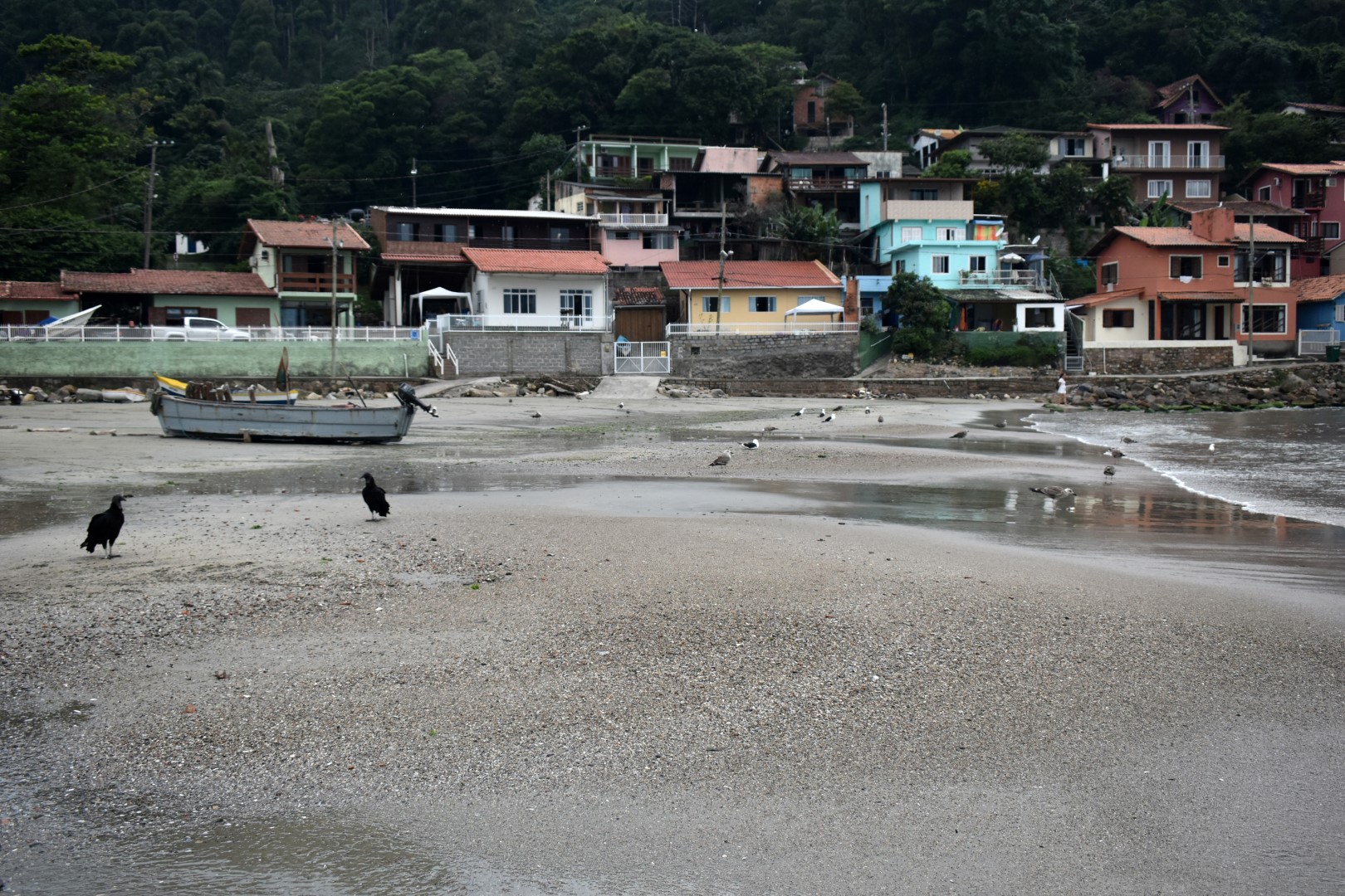Praia do Pântano do Sul, Ilha de Santa Catarina