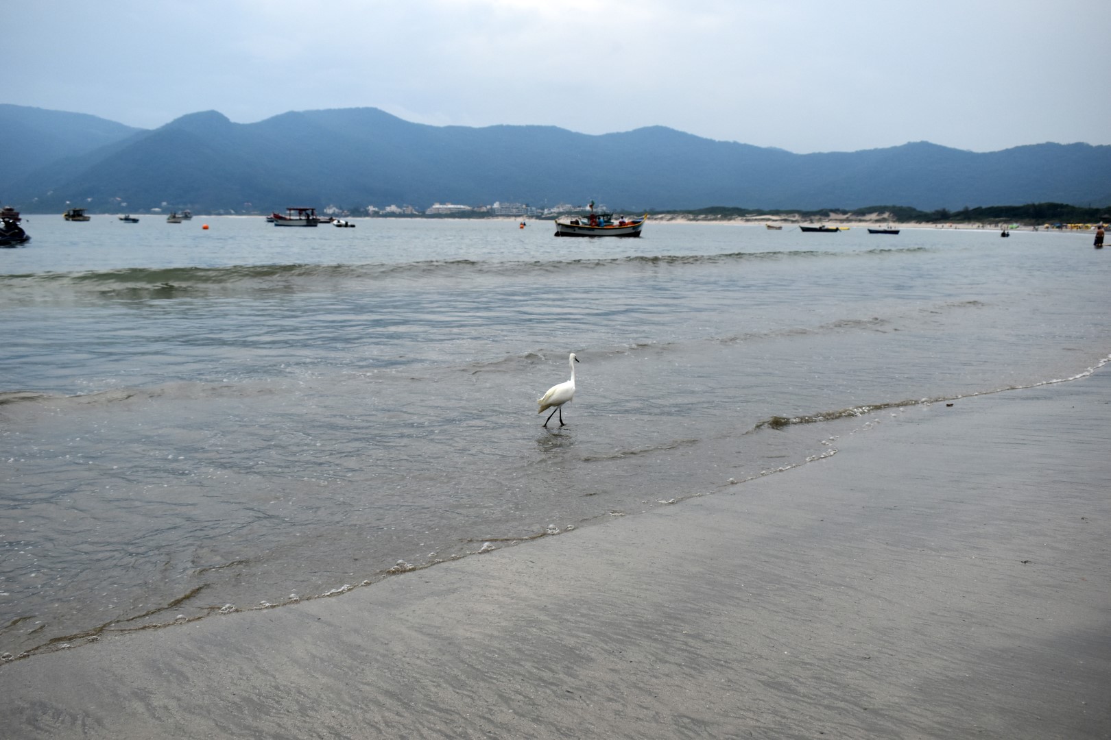 Praia do Pântano do Sul, Ilha de Santa Catarina