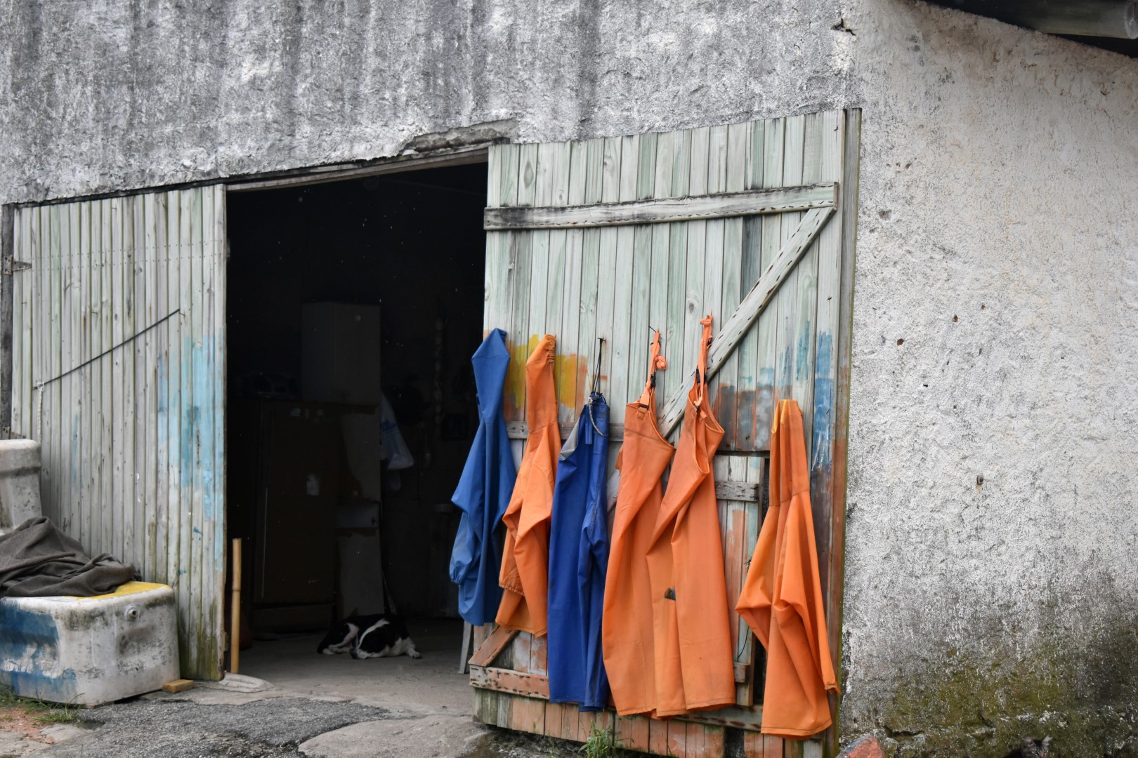 Praia do Pântano do Sul, Ilha de Santa Catarina