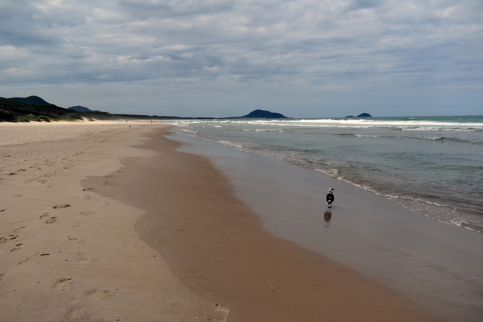 Praia do Moçambique, Ilha de Santa Catarina