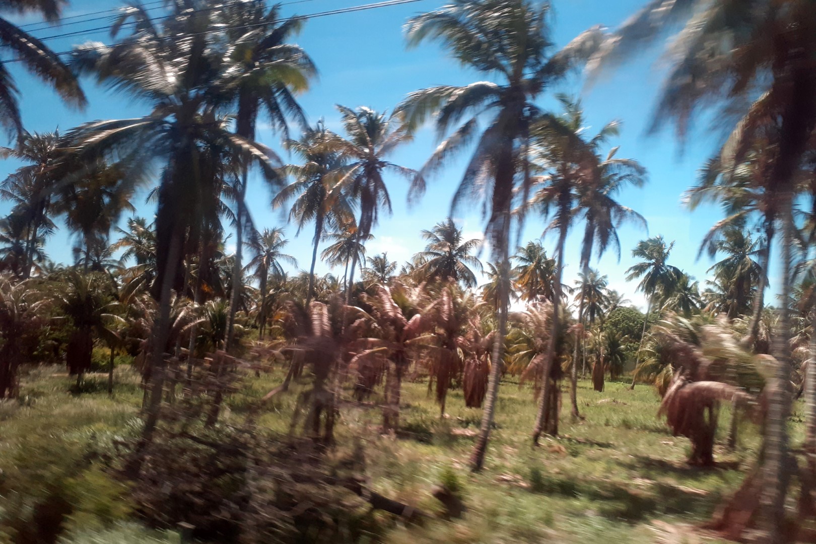 Maceió to Aracaju