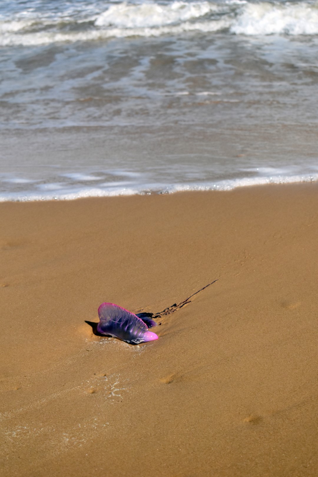 Praia de Atalaia, Aracaju
