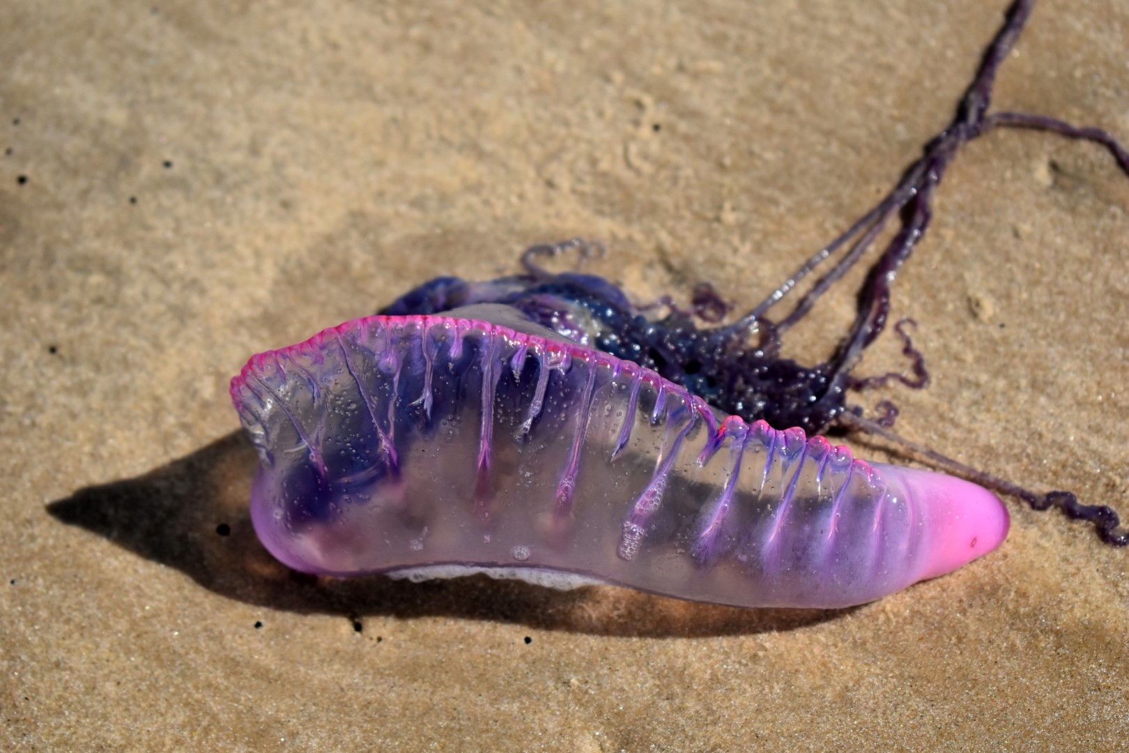 Praia de Atalaia, Aracaju