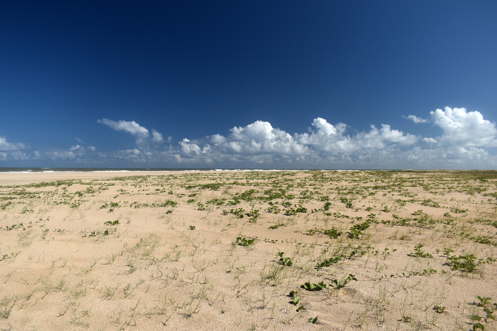 Praia de Atalaia, Aracaju