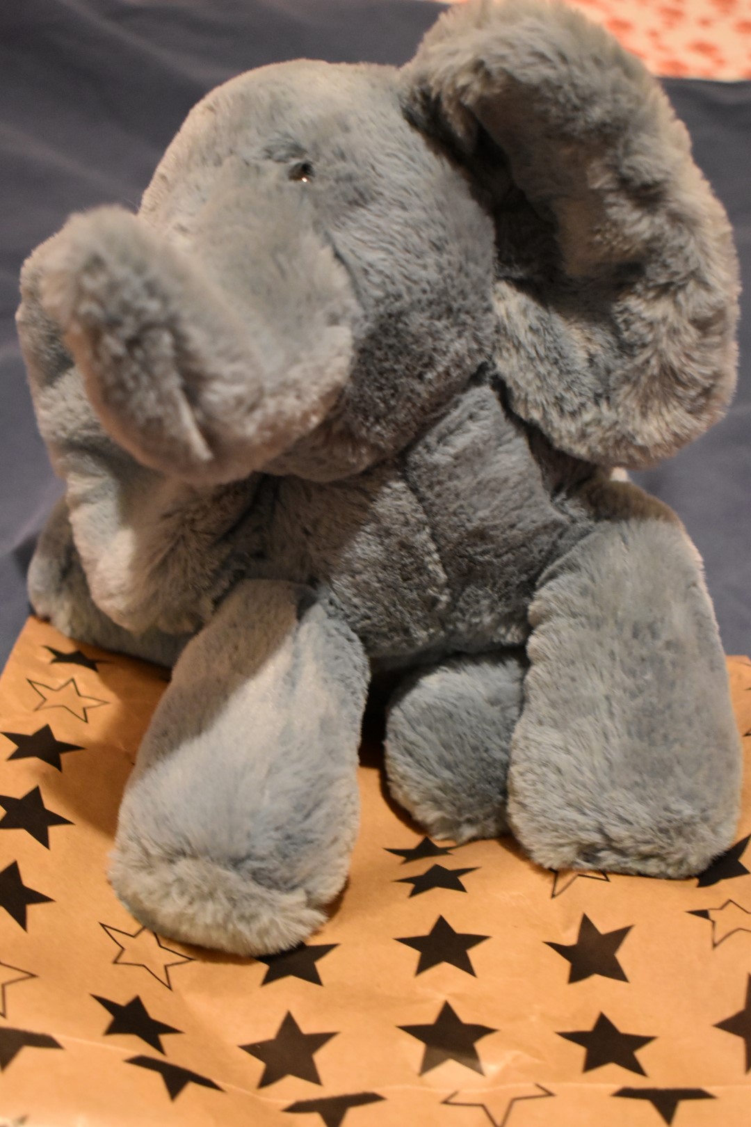 Birthday present, March 21, 2021