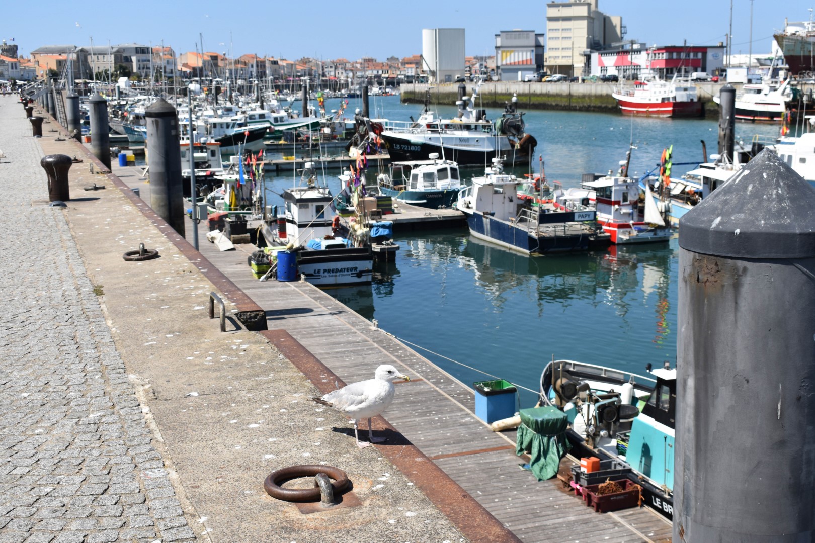 Port Olona, Port des Sables-d'Olonne