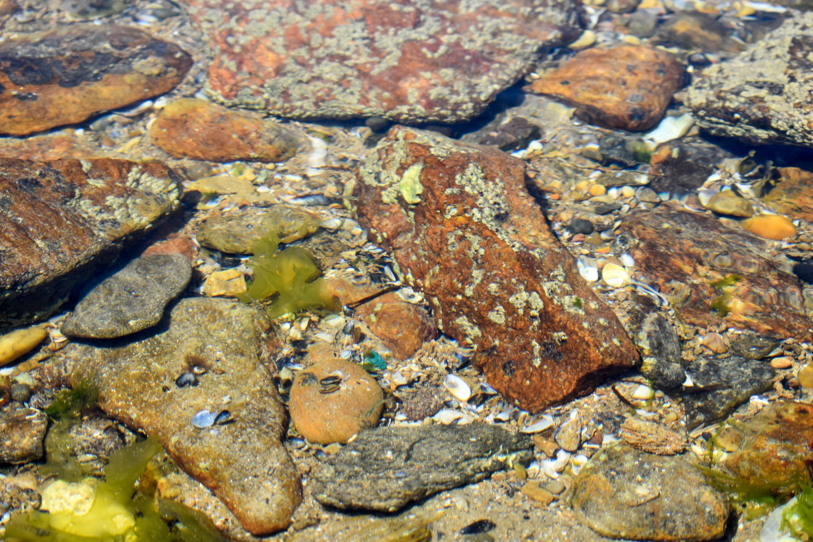 La Grande Plage, Les Sables d'Olonne