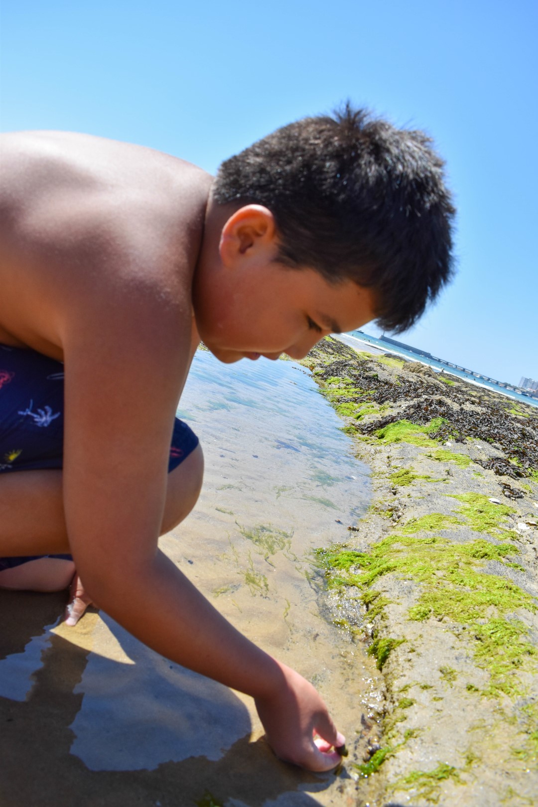 La Grande Plage, Les Sables d'Olonne