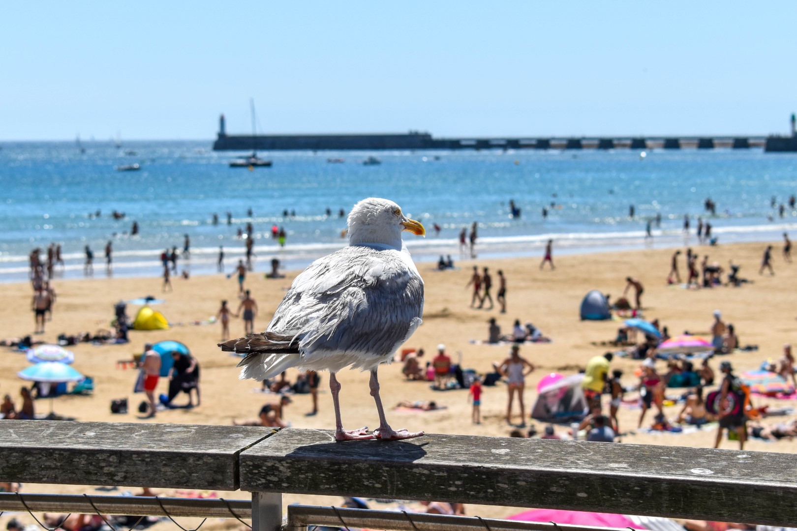 Prom. de l'Amiral Lafargue, Les Sables-d'Olonne