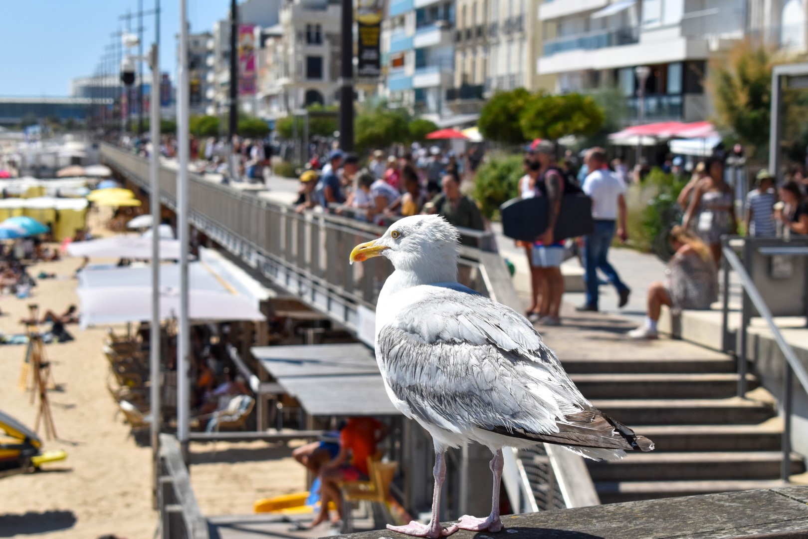 Prom. de l'Amiral Lafargue, Les Sables-d'Olonne