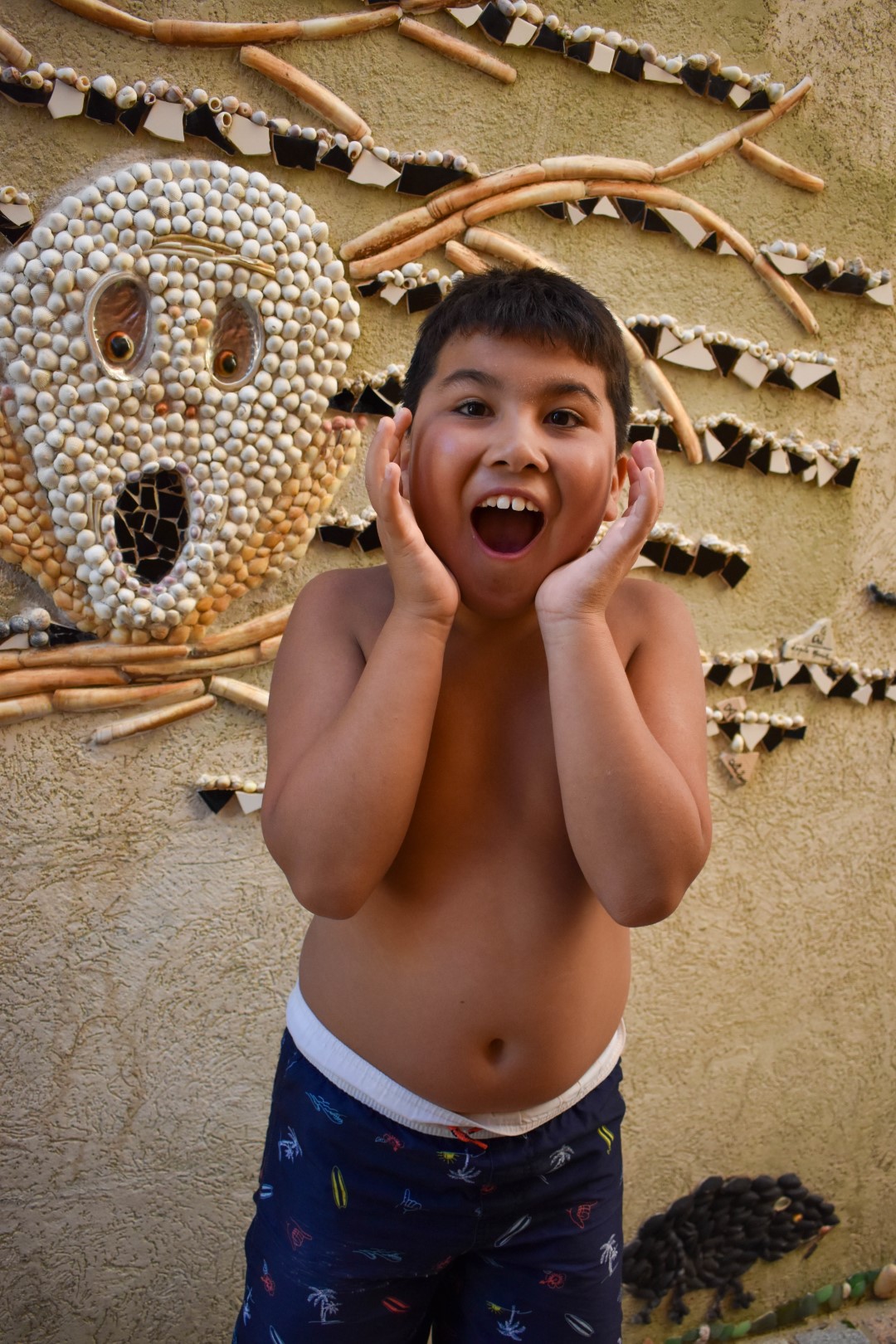 L'île Penotte, Les Sables d'Olonne 
