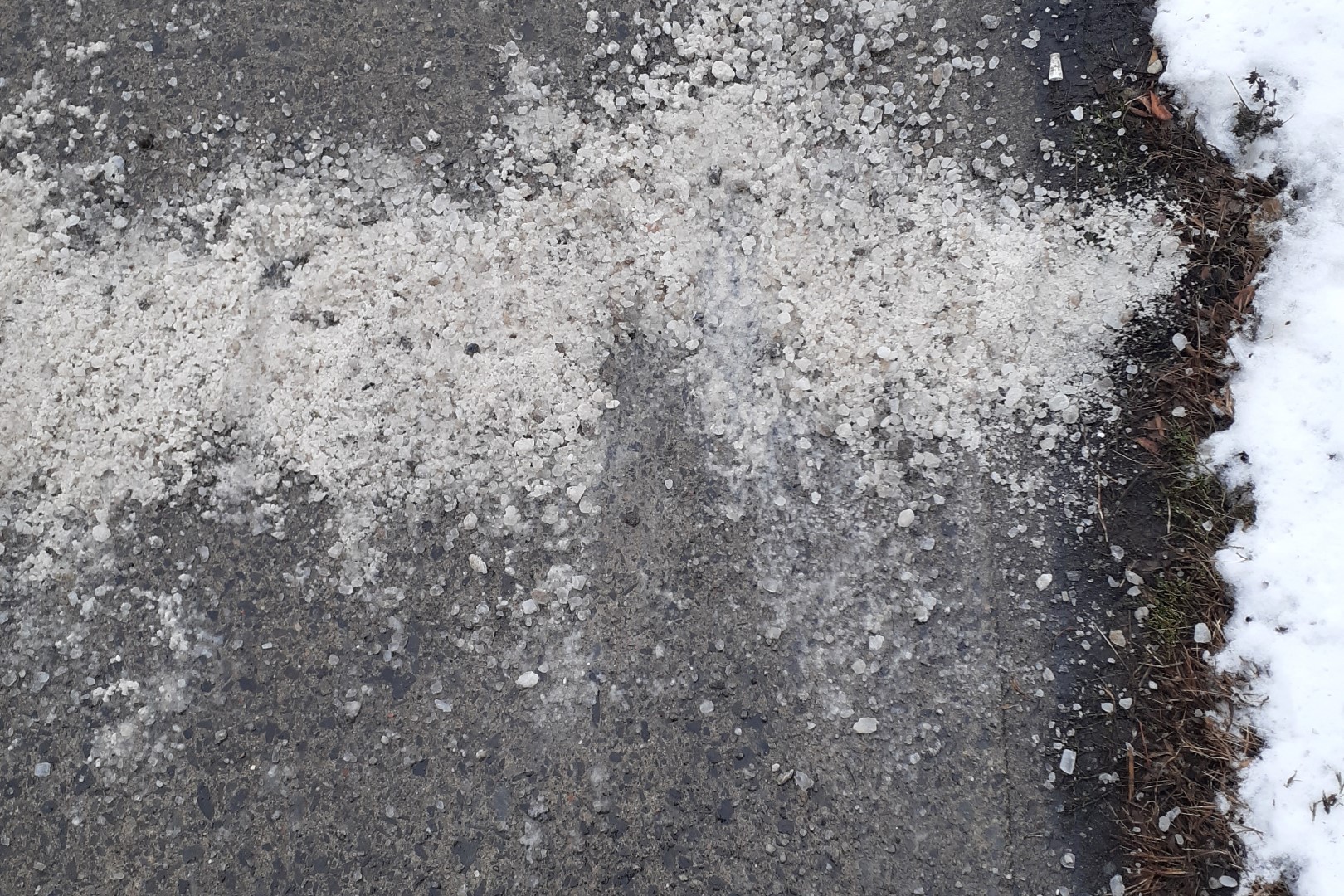 Ice salt on sidewalk, Preston Street, Ottawa, November 2022