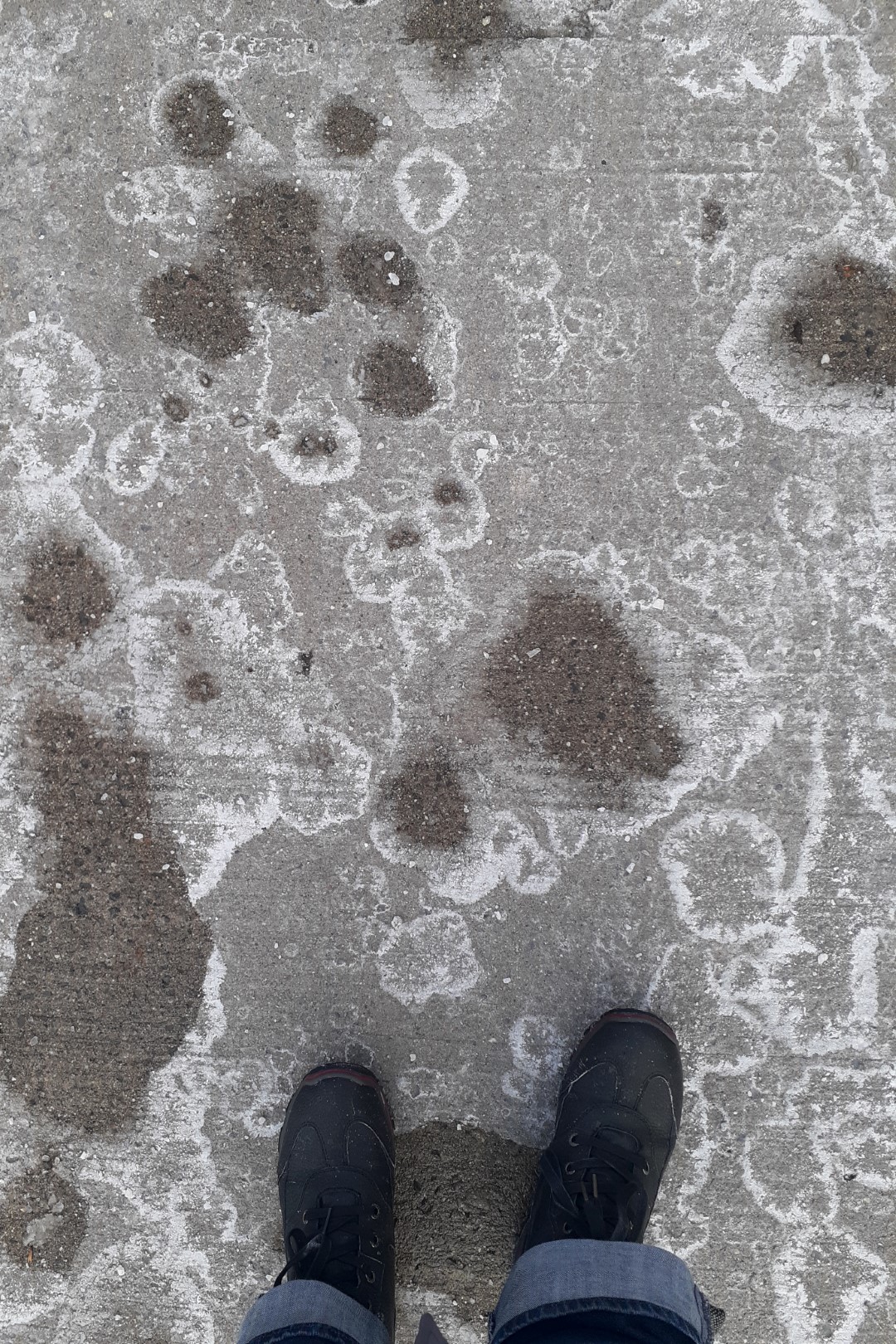 Salt stains on sidewalk, Carling Avenue, Ottawa, November 2022