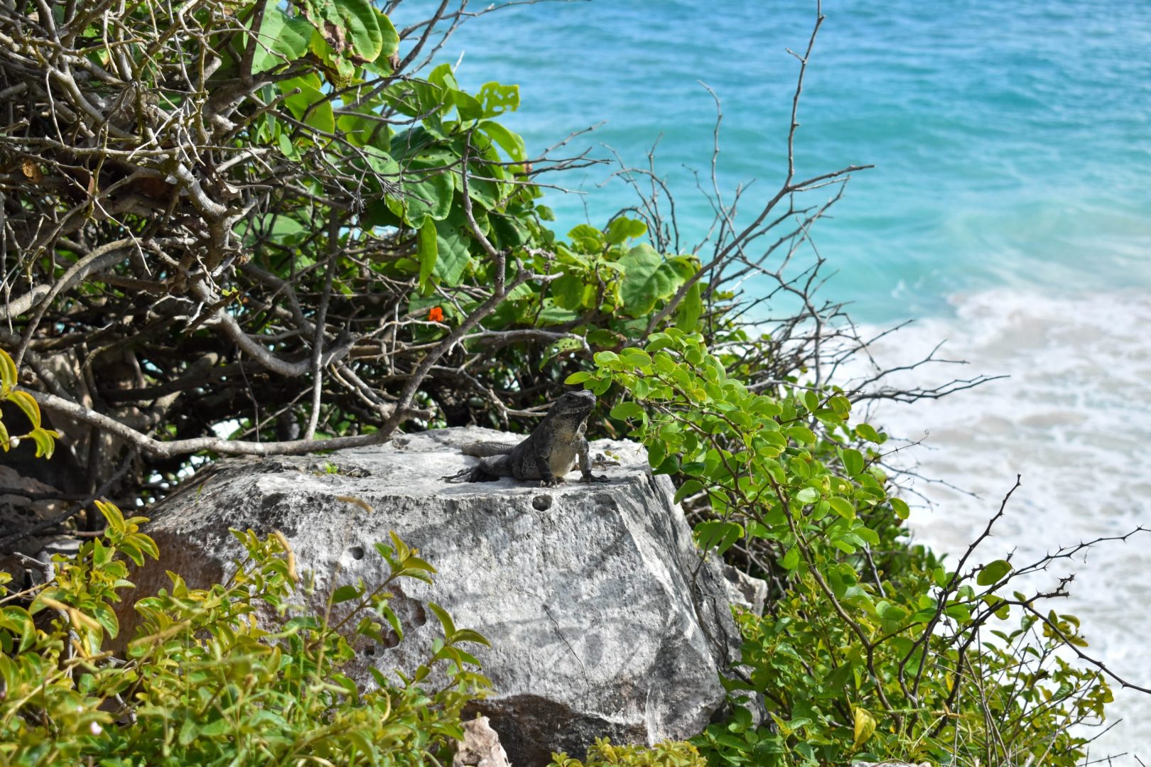 Zona Arqueológica de Tulum, Carretera Federal, Cancun - Chetumal Km 230, Tulum, Q.R.