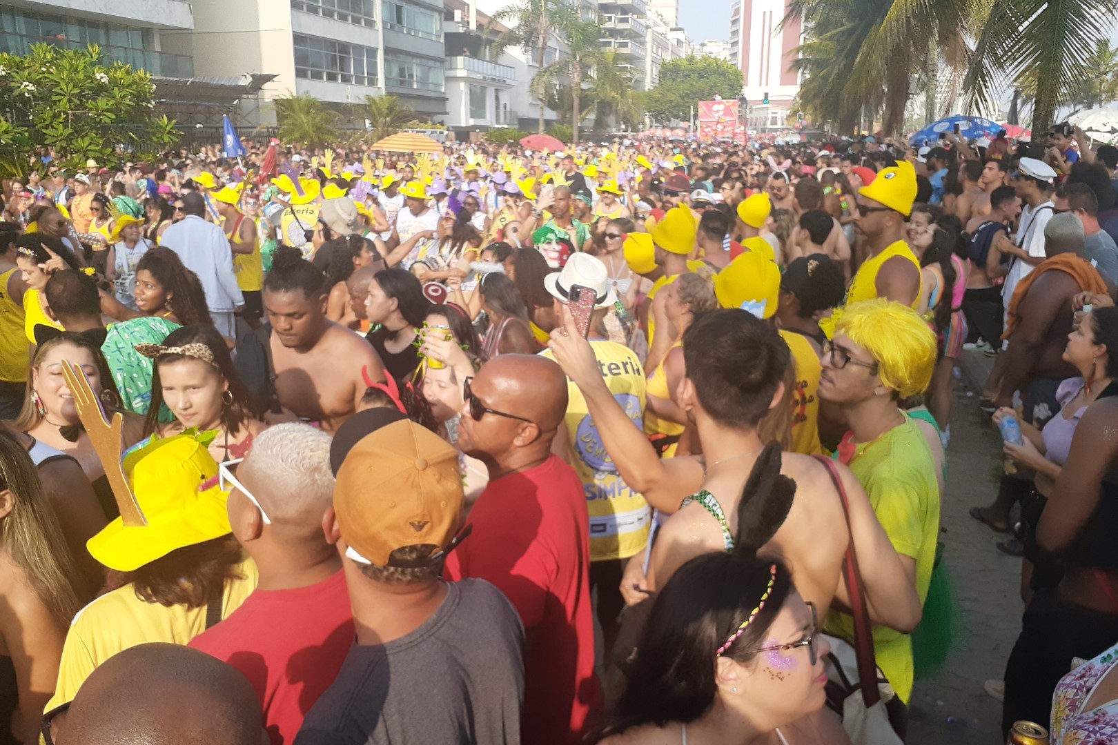 Bloco Simpatia é Quase Amor, Ipanema