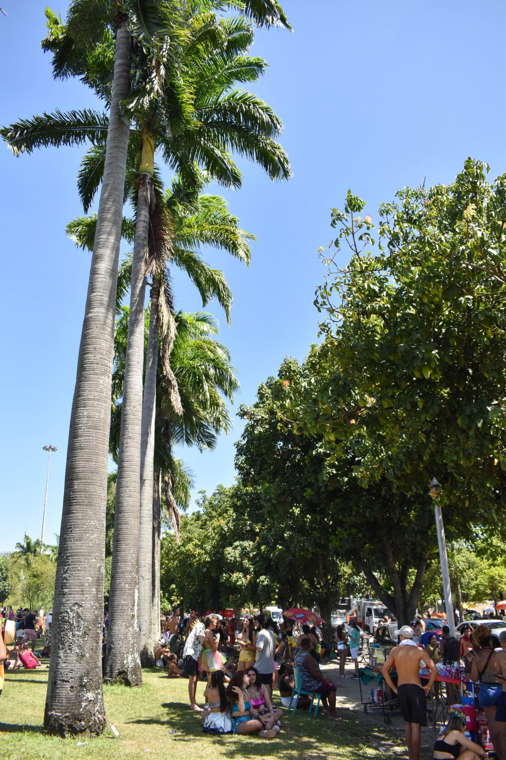 Bloco do Sargento Pimenta, Aterro do Flamengo, Rio de Janeiro