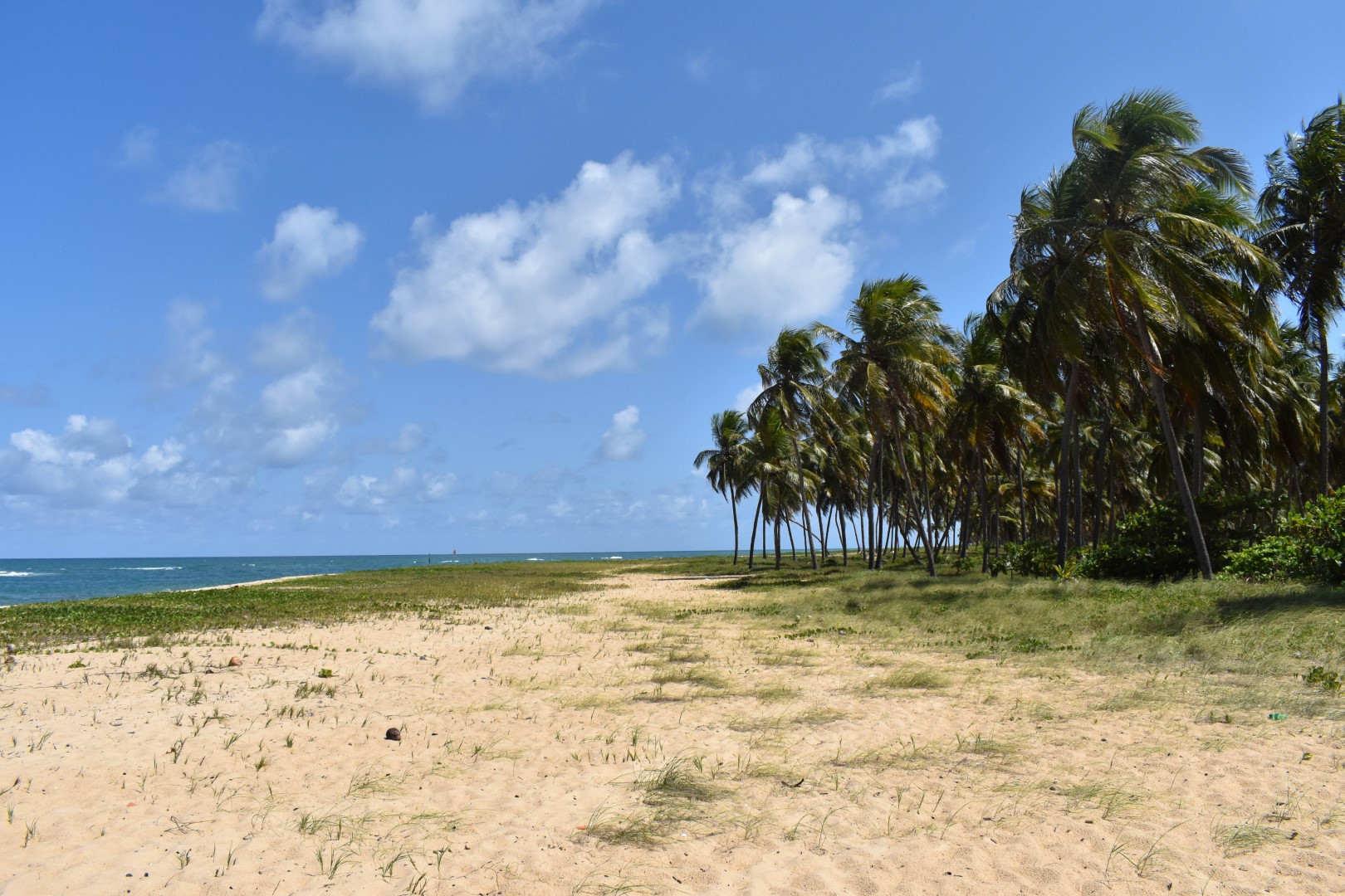 Praia do Gunga, Roteiro - State of Alagoas